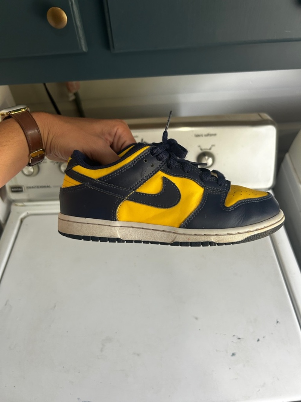 Nike Kids Low-dunk Michigan edition